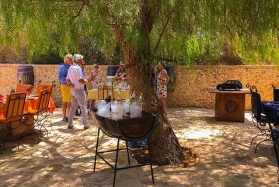 Private Day Trip to Vineyard Val d'Argan included Winetasting Lunch, per person 