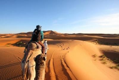 3 Day Desert Tour Marrakech to Fes