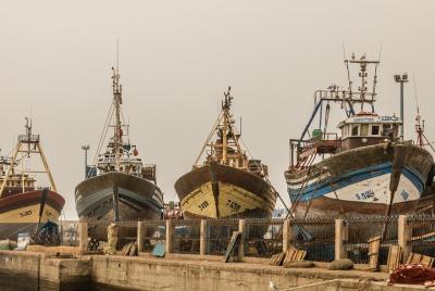 Day Trip From Marrakech To Essaouira Day Trip From Marrakech To Essaouira