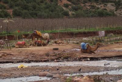 High Atlas & 3 Valleys Day Tour from Mrrakech