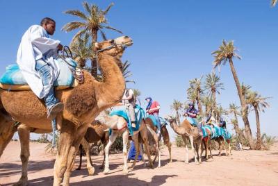 Package of Camel ride & Quad Bikes & Hammam with Massage