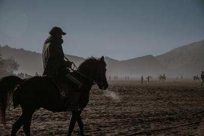 Stay and horseback Training 