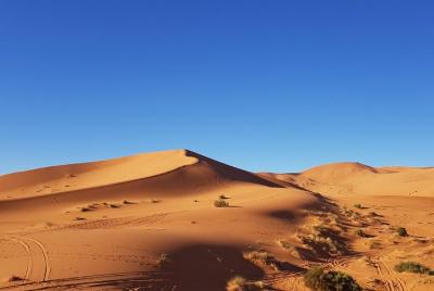 Dünenfahrschule / off-road training