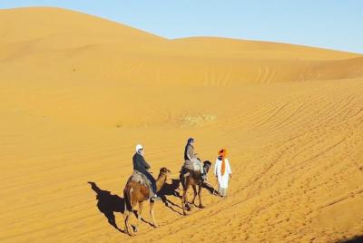 Day Trip By Camels In Erg Chebbi Dunes, Lunch With Berber Pizza, All included