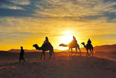 camel trekking in sahara desert & spend overnight in a Desert camp 