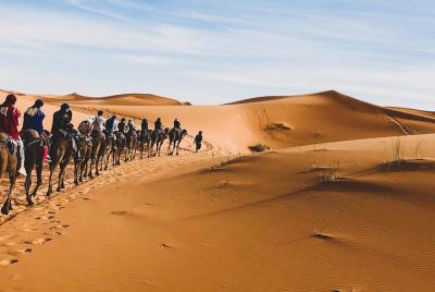 Camel Ride in Merzouga with 1 Night in Desert Camp Camel Ride in Merzouga with 1 Night in Desert Camp