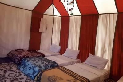 Trekking Walking, Night in Desert, With Local Guide All is included