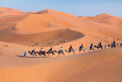 Merzouga Desert Camp 