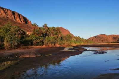 Excursion Ait Ben Haddou and Oasis of Fint Excursion Ait Ben Haddou and Oasis of Fint