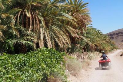 Half-Day Guided Quad Tour from Ait Ben Haddou to Fint Oasis Half-Day Guided Quad Tour from Ait Ben Haddou to Fint Oasis