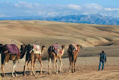 Breakfast in agafay desert with camel ride and relaxation Moroccan hammam