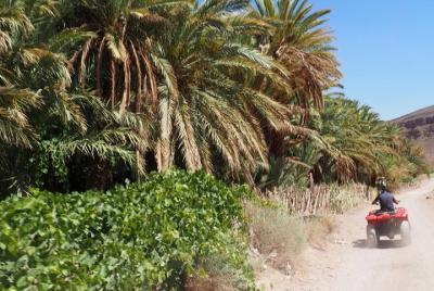 1-Day Guided Quad/ATV Tour to Fint Oasis