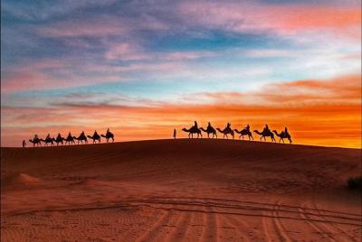 Desert Tour Ouarzazate M'hamed 2 Days / 1 night