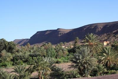 Ouarzazate Tour in Fint Oasis with Dinner