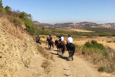 Horseback Riding: MNAR Hills Beginners - Tangier - 1 hour