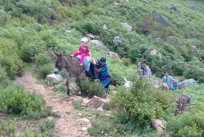 Full day trip to Bouhachem Park by Mules, and Chefchaouen