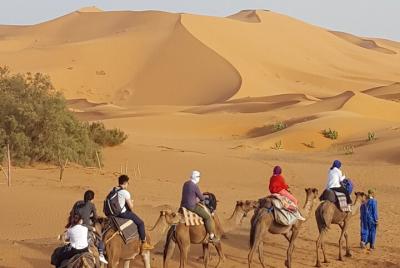 6-day private Tangier desert tour (+ Chaouen, Fez, Meknes) 6-day private Tangier desert tour (+ Chaouen, Fez, Meknes)