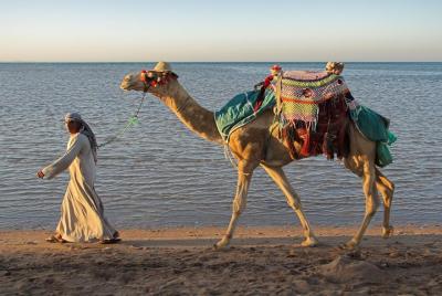 Private Guided Day Tour of Tangier Private Guided Day Tour of Tangier