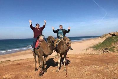 highlights of tangier Full Day tour