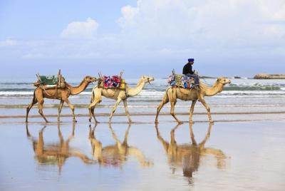 4 Hours Private Tour of Tangier 4 Hours Private Tour of Tangier