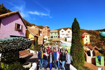 Full-Day Customizable Private Tour to Nami Island and surrounding Area Full-Day Customizable Private Tour to Nami Island and surrounding Area