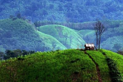 Full-Day Pyin Oo Lwin Private Tour from Mandalay