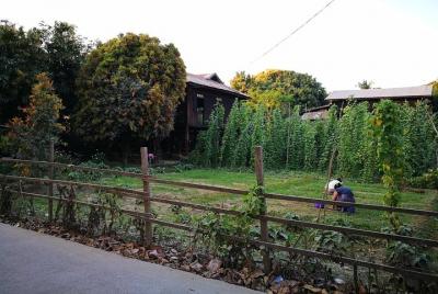 Mandalay & Rural Mandalay Sightseeing & Home Cooked Lunch  Mandalay & Rural Mandalay Sightseeing & Home Cooked Lunch