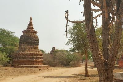 Private Tour Bagan & Mount Popa (2 Days) Private Tour Bagan & Mount Popa (2 Days)