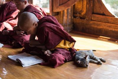 Buddhist Monastery Cultural Immersion Tour