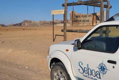 Moon Landscape including Welwitchia Plains