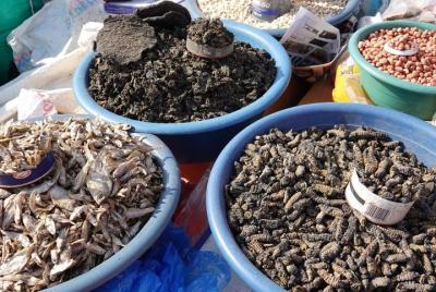 Swakopmund Historical Cultural Local Food Township Day Tours Swakopmund Historical Cultural Local Food Township Day Tours