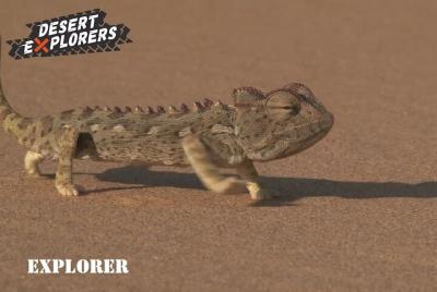 2hr Explorer Quad Bike Tour