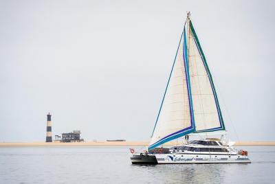 Dolphin and Seal Sailing Cruise