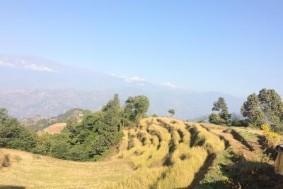 Kakani to Surya Chaur Hike (Kathmandu Day Hiking) Kakani to Surya Chaur Hike (Kathmandu Day Hiking)