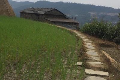 Day Hiking to Beautiful Nepali Village to Explore Nepali Culture  Day Hiking to Beautiful Nepali Village to Explore Nepali Culture