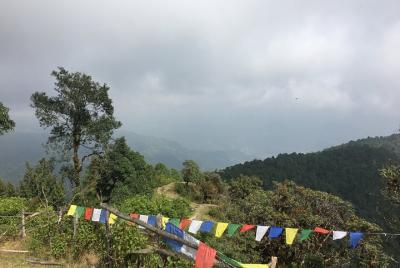 Easy Hiking to Australian Camp from Pokhara  Easy Hiking to Australian Camp from Pokhara