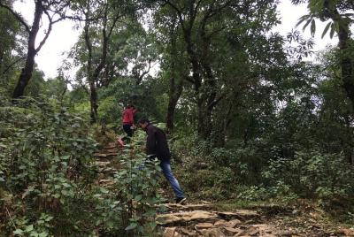 Easy Hiking to Dhampus Village from Pokhara