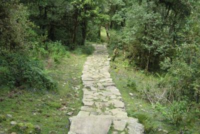 1 Day Easy Hiking for Beginner and Family with Young Kids  1 Day Easy Hiking for Beginner and Family with Young Kids