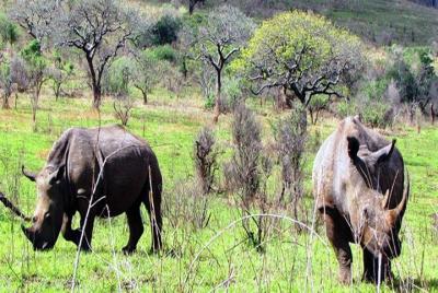 Yankari Game Reserve Yankari Game Reserve