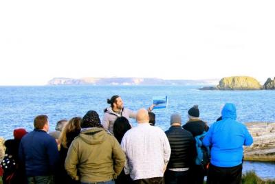 Game of Thrones® and Giant's Causeway tour from Belfast