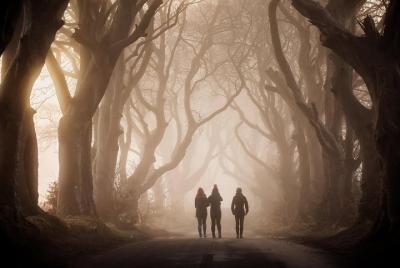 Exceptional private Game of thrones and Giants Causeway tour Exceptional private Game of thrones and Giants Causeway tour