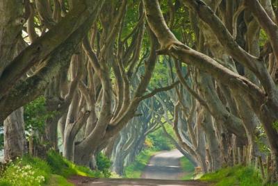 Game of Thrones Locations (North) Game of Thrones Locations (North)