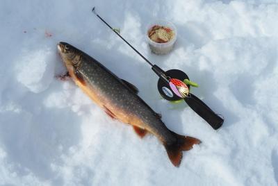 Snowshoeing and ice fishing in a lake outside Alta