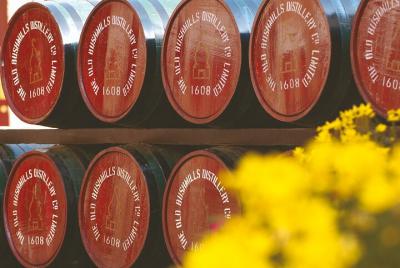 Giant Giant's Causeway and Belfast City Murals Tour inc Game of Thrones