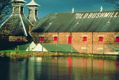 Private Guided Tour of Causeway Coastal Route