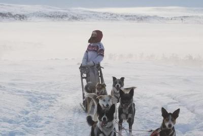 Experience life as a musher for a day