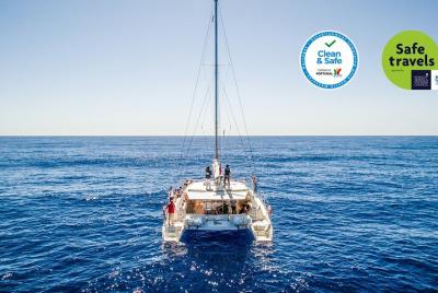 Madeira Dolphin and Whale Watching on a Luxurious Catamaran Madeira Dolphin and Whale Watching on a Luxurious Catamaran