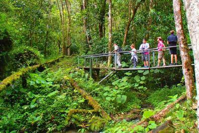 Cloud Forest Wildlife Hike 8:30am (Minimum of 3 people per bookin