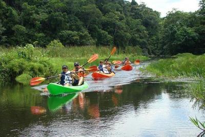 Lake Gatun Boat Tour Including Kayaking and Lunch Lake Gatun Boat Tour Including Kayaking and Lunch