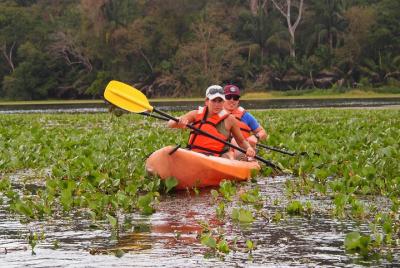 Private Kayaking tour in the Chagres River Private Kayaking tour in the Chagres River